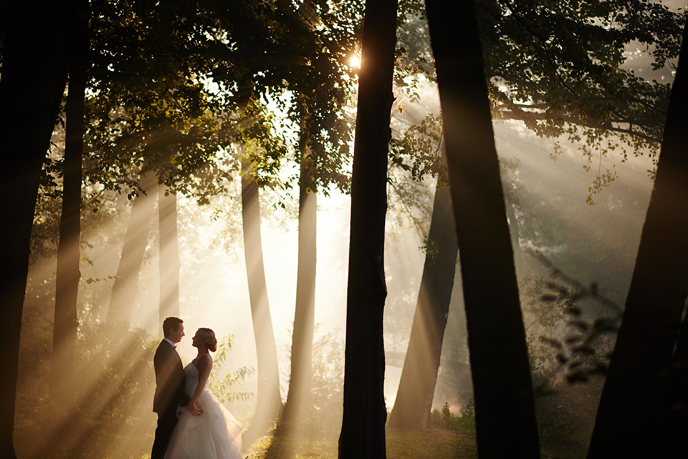 314-org_8a64ea7a1756fdf5993772ceeace6eb7